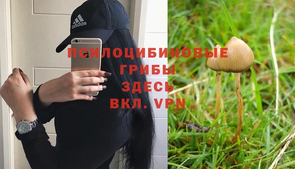 метамфетамин Богданович