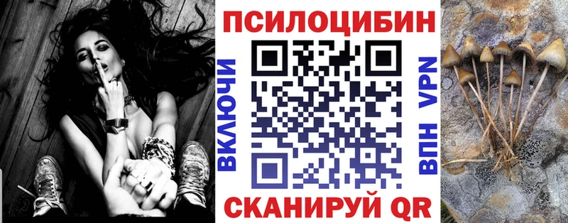 Псилоцибиновые грибы Psilocybe  Болотное 